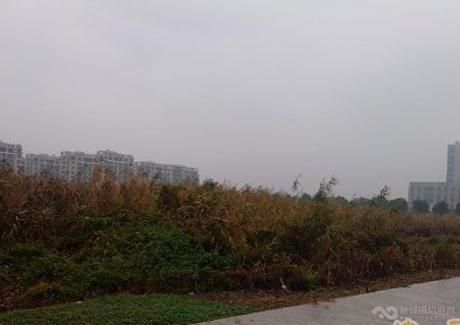  江苏省苏州市31700商业用地3亿出售实景图 