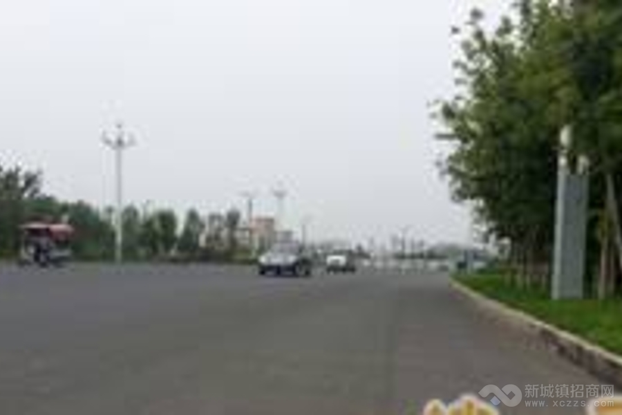 黑龙江绥化市政府对面130亩土地出让实景图