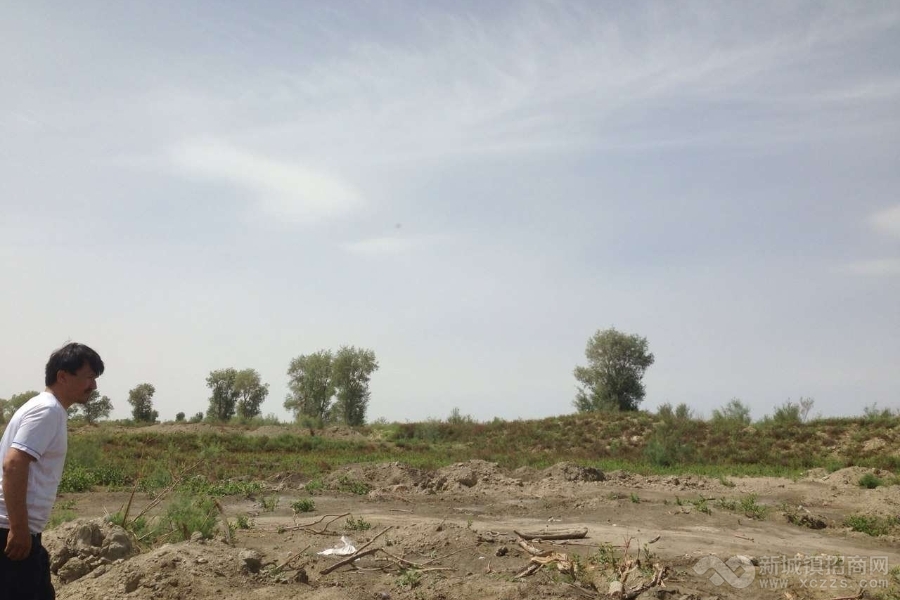 新疆阿克苏地区沙雅县综合用地整体转让实景图
