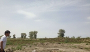 新疆阿克苏地区沙雅县综合用地整体转让