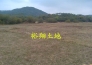  （转让）阳江市阳东县250亩生态农场/养殖地实景图 
