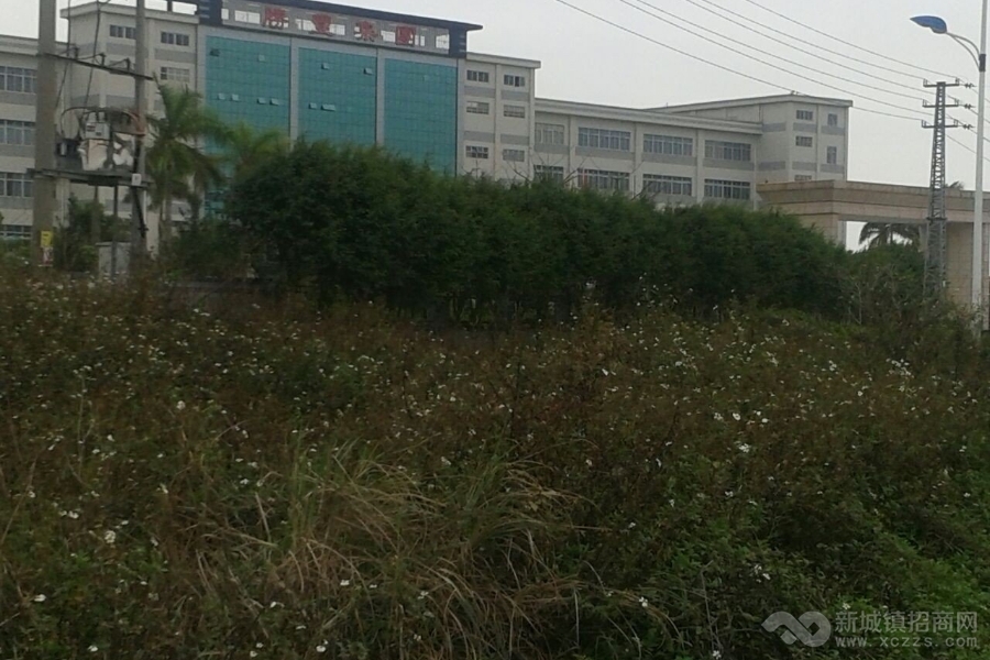 广东惠州博罗县商业办公用地整体转让实景图
