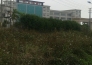 广东惠州博罗县商业办公用地整体转让实景图 