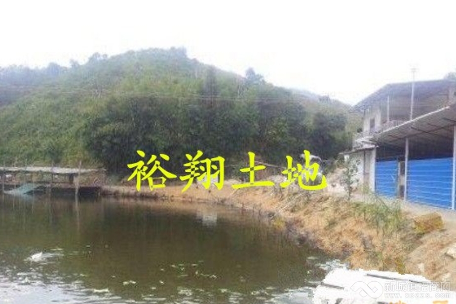 (转让)肇庆市广宁县80亩生态养殖场/农场实景图