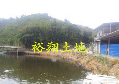  (转让)肇庆市广宁县80亩生态养殖场/农场实景图 