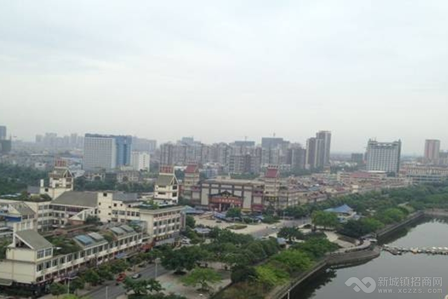 四川眉山东坡岛城市商业住宅用地出让实景图
