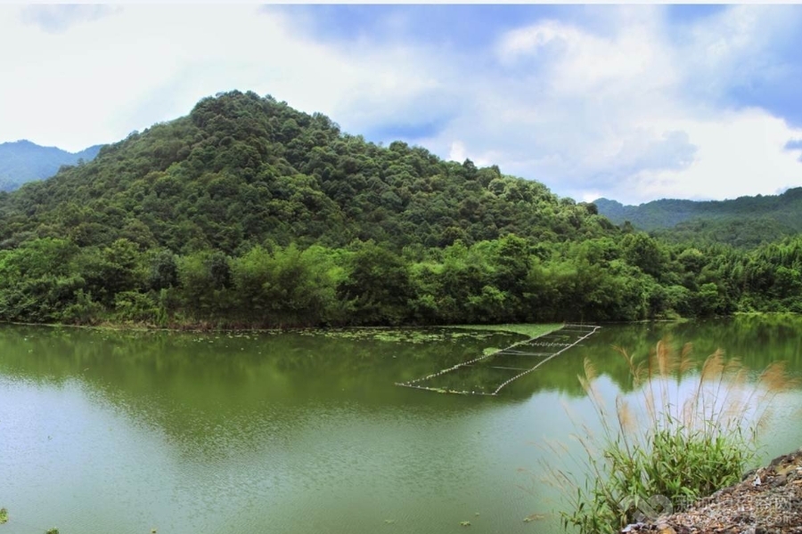 河源万绿湖1.4万亩征用旅游开发别墅项目土地转让实景图