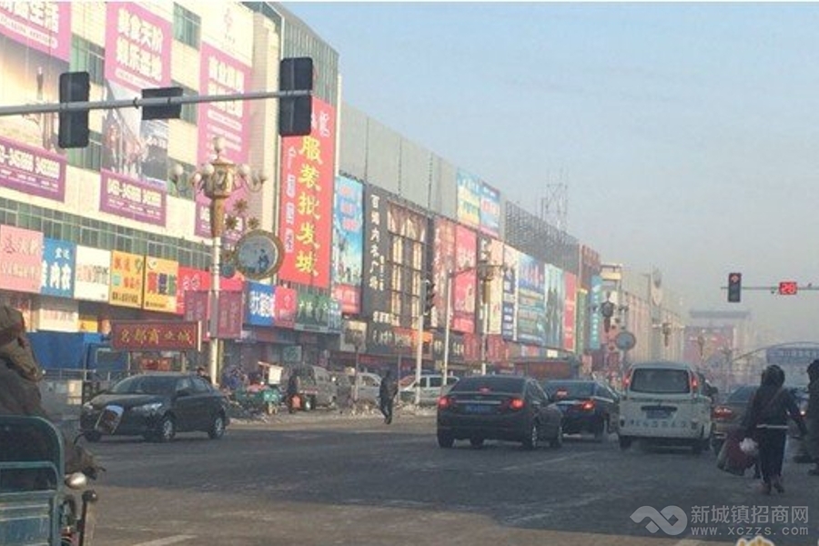 黑龙江林口县建材市场项目 投资收益大3.28拍卖实景图