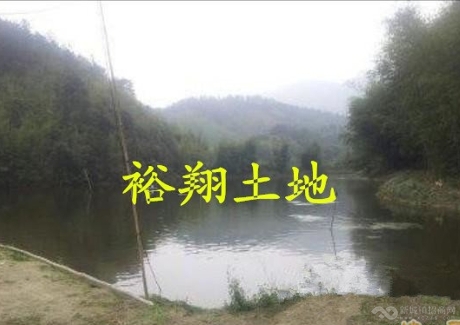  (转让)肇庆市广宁县80亩生态养殖场/农场实景图 