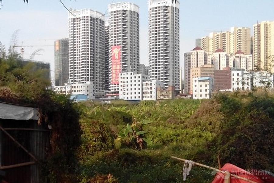 广东惠州惠阳区综合用地寻求合作开发或出售实景图