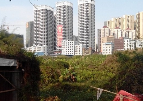  广东惠州惠阳区综合用地寻求合作开发或出售实景图 