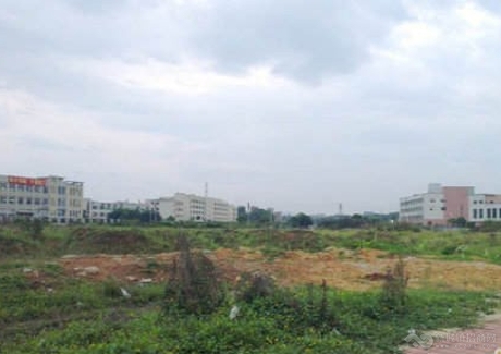  东莞市寮步镇20亩工业用地2000万出售实景图 